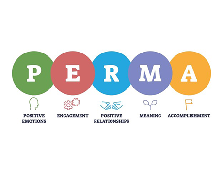 In vocational education and training, how well does the PERMA model of well-being work?